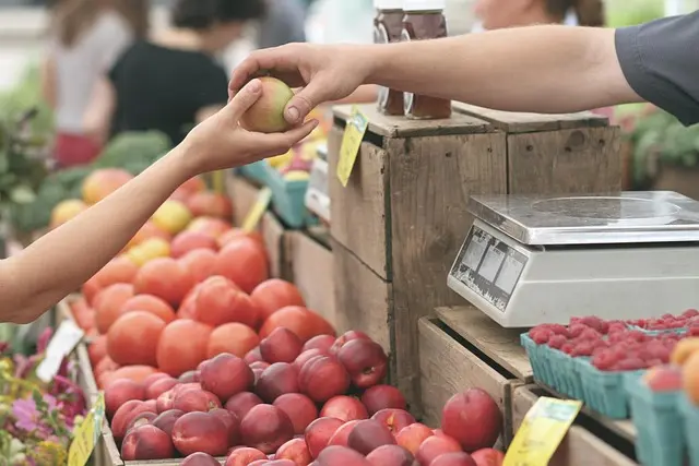 Top Essential Tips for Buying Premium Tech Gadgets