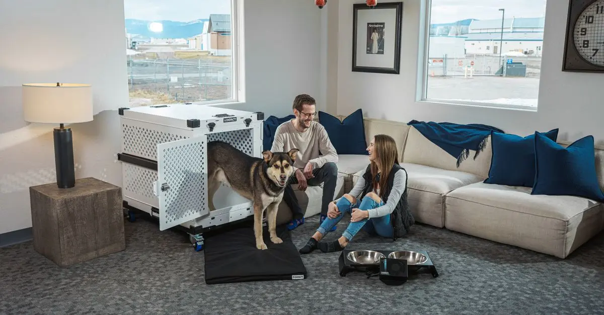 Key Features to Look for in Premium Smart Home Products